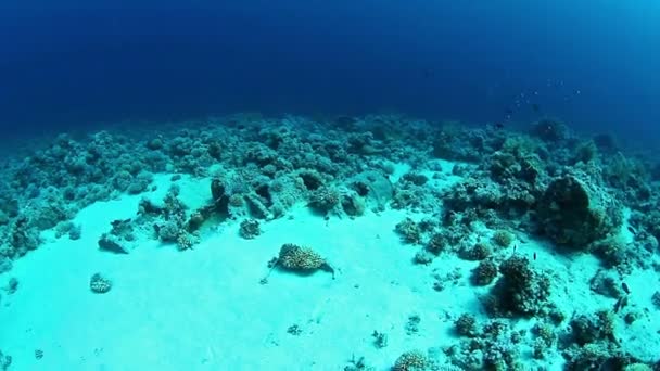 桶石油水下 — 图库视频影像