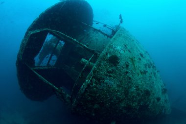 thistlegorm Stern