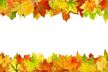 Sonbahar yaprakları çerçevesi
