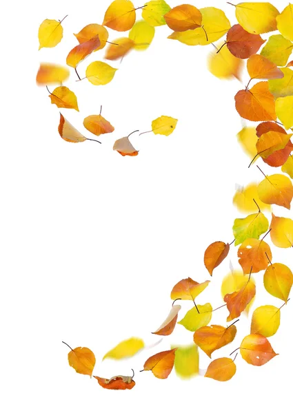 Herfst bladeren die vallen — Stockfoto