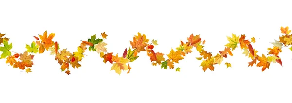 Patrón de hojas de otoño — Foto de Stock