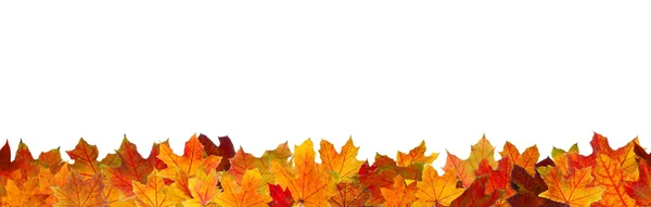 Seamless autumn leaves — Stock Photo, Image