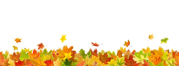 Seamless autumn leaves — Stock Photo, Image
