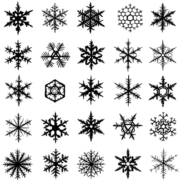 Snowflake set — Stock Vector