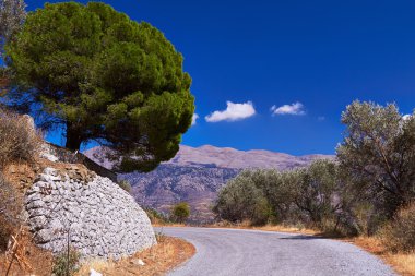 Dağ yolu