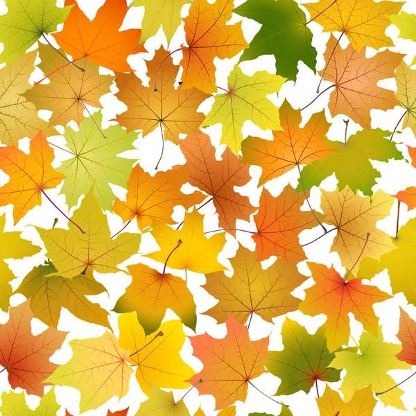가을 나뭇잎 배경 — 스톡 벡터