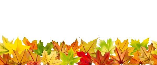 Seamless autumn leaves — Stock Vector