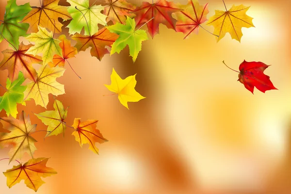 Sfondo autunno — Vettoriale Stock