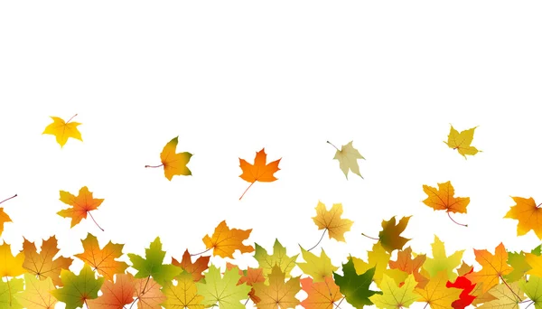 Seamless autumn leaves — Stock Vector