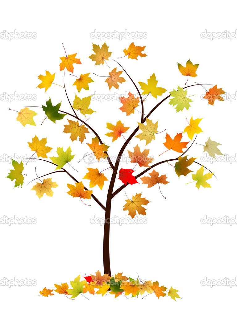 Autumn tree