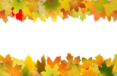 Dikişsiz sonbahar yaprakları