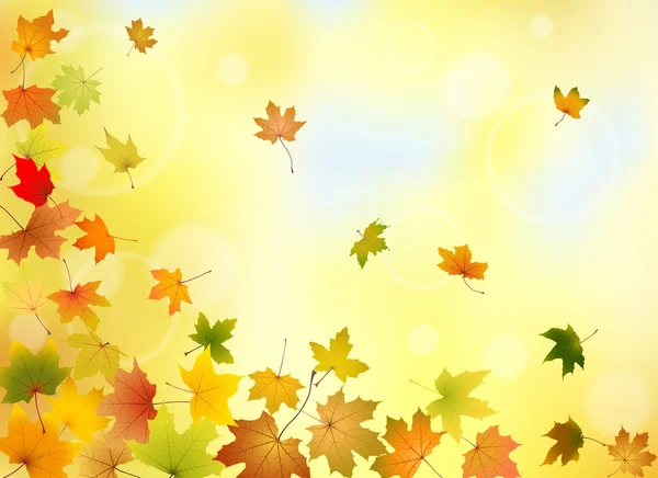 Восени фон — стоковий вектор