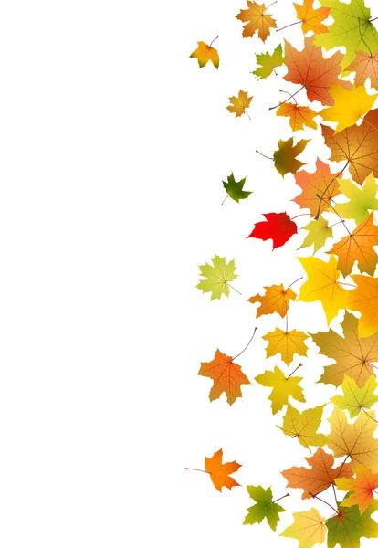 Кленовые листья падают — стоковый вектор