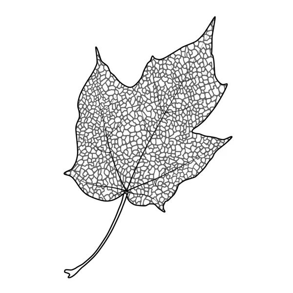 Akçaağaç yaprağı — Stok Vektör