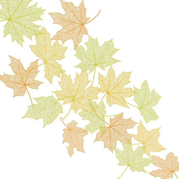 Autumn leaves template — Stock Vector