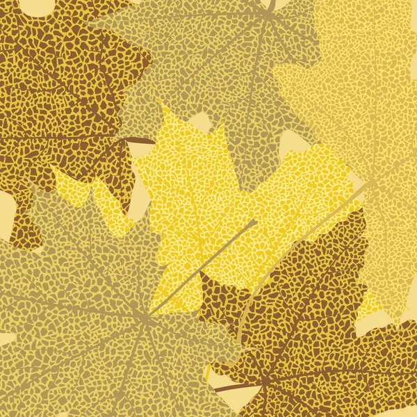 Modèle de feuilles d'automne — Image vectorielle