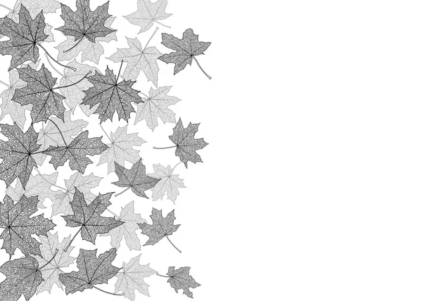 Templat monokrom daun musim gugur - Stok Vektor