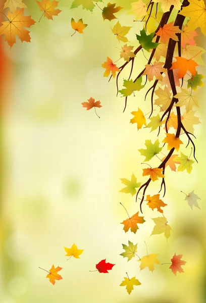 Branche d'automne — Image vectorielle