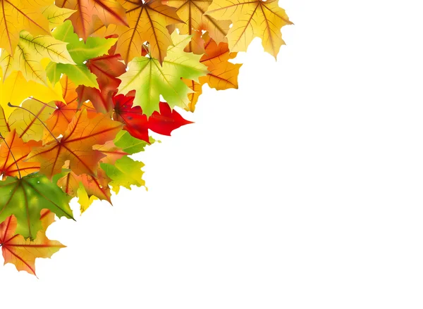 秋季帧 — 图库矢量图片