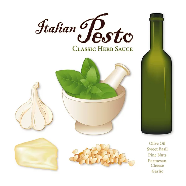 Pesto Ingredients Beliebte Italienische Kräutersoße Für Pasta Und Gemüse Knoblauch — Stockvektor