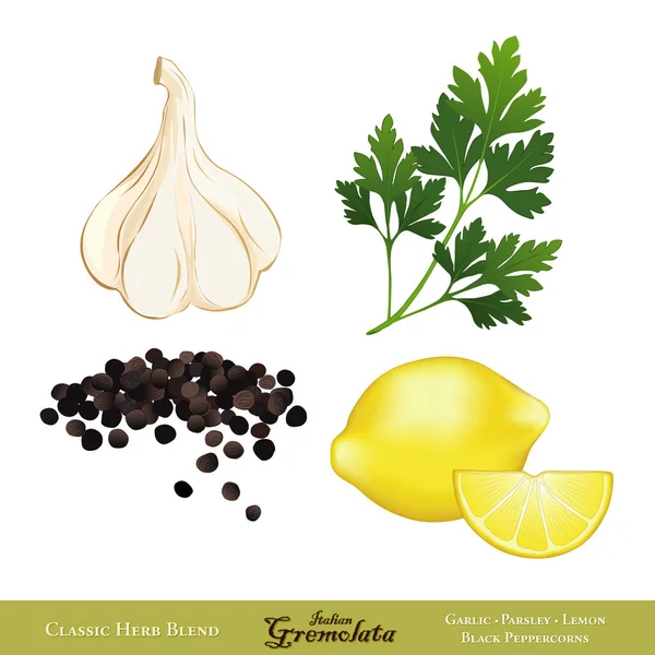 采购产品Gremolata Classic Italian Herb Sauce Condiment Blend Garlic Italian Flat — 图库矢量图片