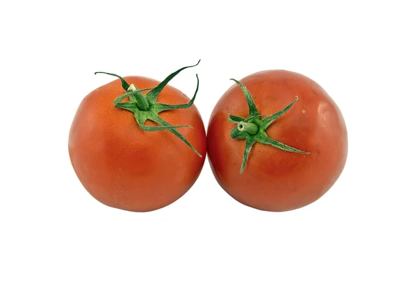 Twee tomaten — Stockfoto