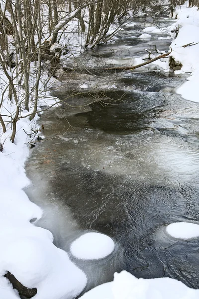 Ruisseau d'hiver — Photo