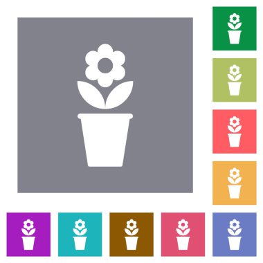 Çiçekli saksı ve basit renk kare arkaplan üzerinde katı düz simgeler bırakıyor