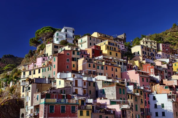 Edificios Riomaggiore —  Fotos de Stock