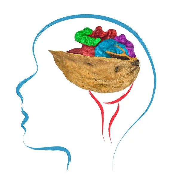 Głowa i mózgu streszczenie — Zdjęcie stockowe