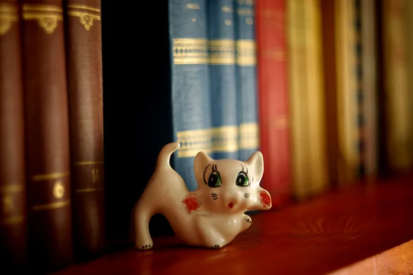 Gatto gingillo e libri — Foto Stock