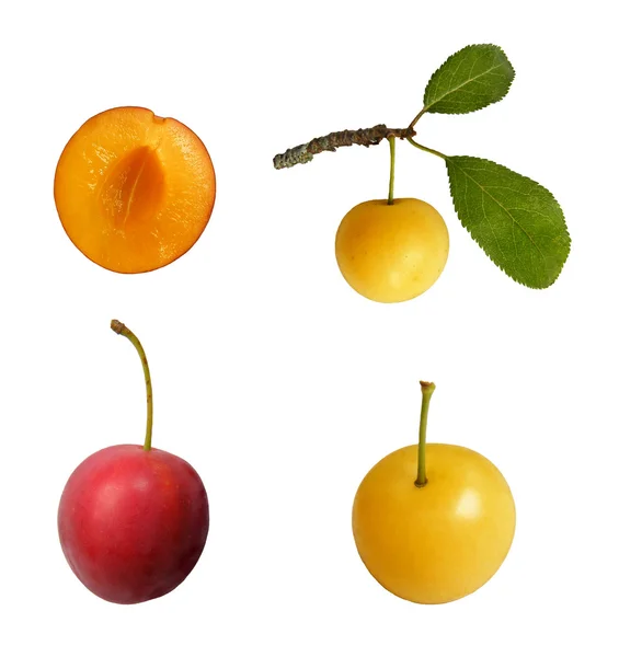 Fruta Mirabelle — Foto de Stock