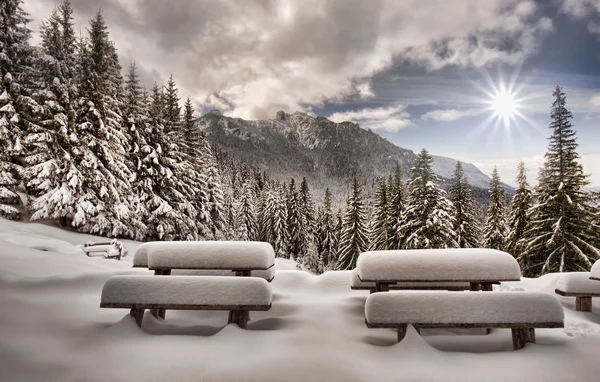 Paysage en montagne d'hiver — Photo