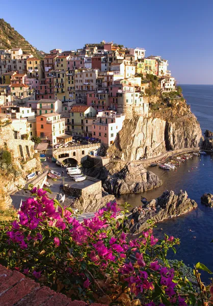 Manarola 村 — 图库照片