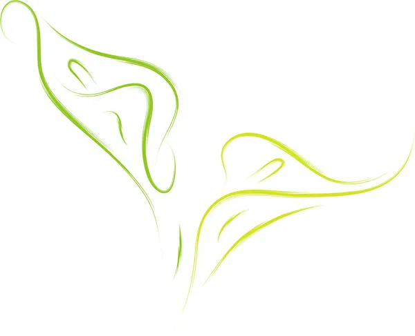 Calla fleurs de lis — Image vectorielle