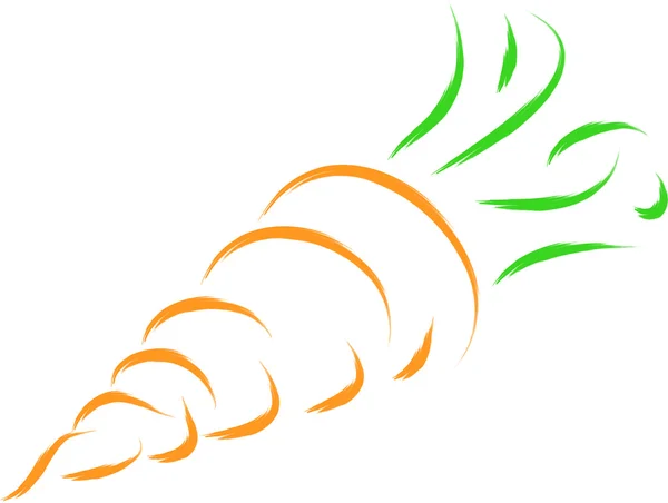 Carrot — Stock Vector