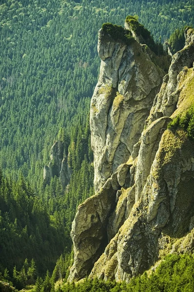 Detalle montaña — Foto de Stock