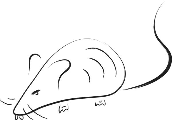 Σκίτσο του ποντικιού — Διανυσματικό Αρχείο