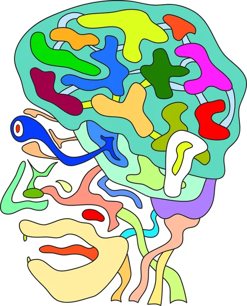 Anatomia da cabeça do doodle —  Vetores de Stock
