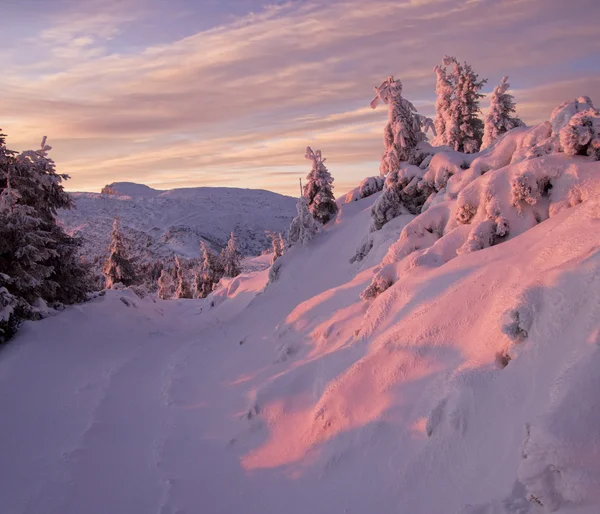 Vintern berg sunset — Stockfoto