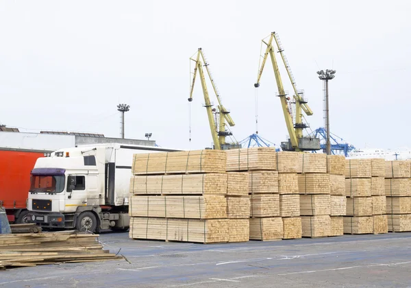 Hout storting in de haven — Stockfoto