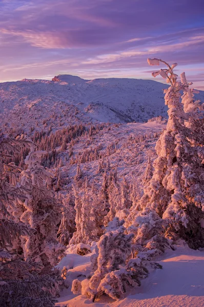 Winterberg-Sonnenuntergang — Stockfoto