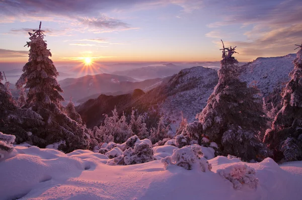 Wintersonnenuntergang — Stockfoto