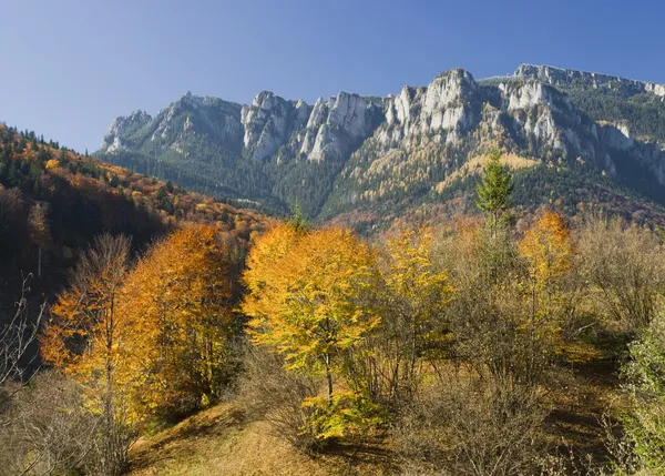 Herfstlandschap — Stockfoto