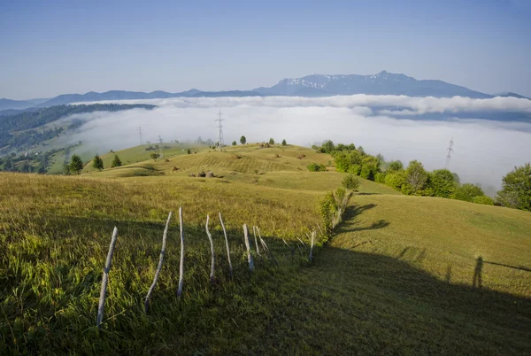 Peisaj de vară în România — Fotografie, imagine de stoc