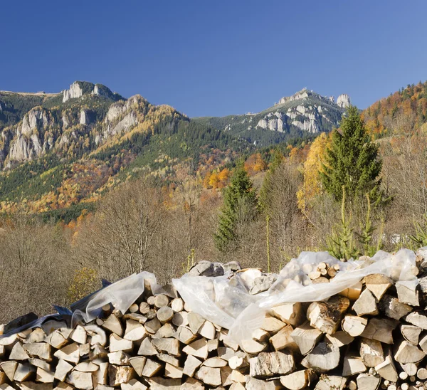 Grumes en bois en automne — Photo