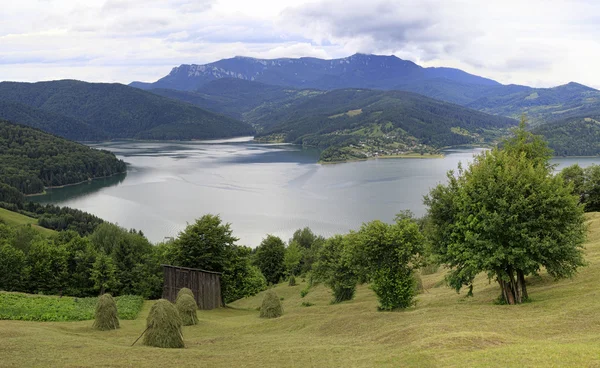 Paisagem rural com lago — Fotografia de Stock