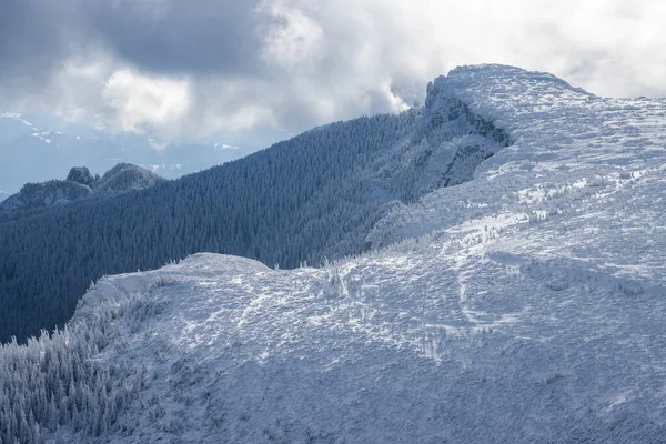 Paisaje Invernal Montaña Ceahlau Rumania — Foto de Stock