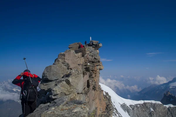 意大利阿尔卑斯山Gran Paradiso峰4061M处的海燕 — 图库照片