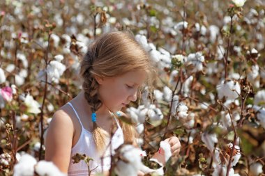 Young girl walking in a field of cotton clipart
